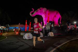 BIB: 
                            <button type="button" onclick="openModal(26552170)" class="btn btn-primary btn-sm float-right btn-popup" data-toggle="modal" data-target=".modal-high-quality">
                        <i class="fas fa-shopping-cart"></i> Add to Cart
                    </button>
                                            <button type="button" onclick="isThisMe(26552170, true)" class="btn btn-success btn-sm float-right btn-popup btn-isme hidden" data-toggle="tooltip" data-placement="bottom" title="นี่คือรูปของคุณใช่ไหม คลิกที่นี่เพื่อเอาเข้าอัลบั้ม">
                        <i class="fas fa-plus"></i> Add to album
                    </button>
                    <button type="button" onclick="isThisMe(26552170, false)" class="btn btn-warning btn-sm float-right btn-popup btn-isnotme hidden">
                        <i class="fas fa-ban"></i> Remove from album
                    </button>